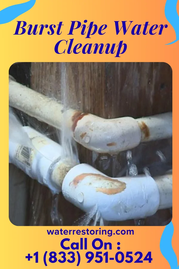 Burst Pipe Water Cleanup in Loganville, GA