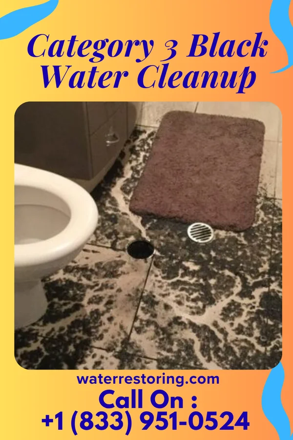 Category 3 Black Water Cleanup in Loganville, GA