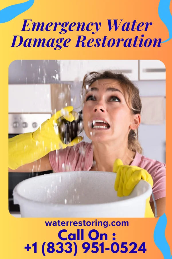 Emergency Water Damage Restoration in Loganville, GA