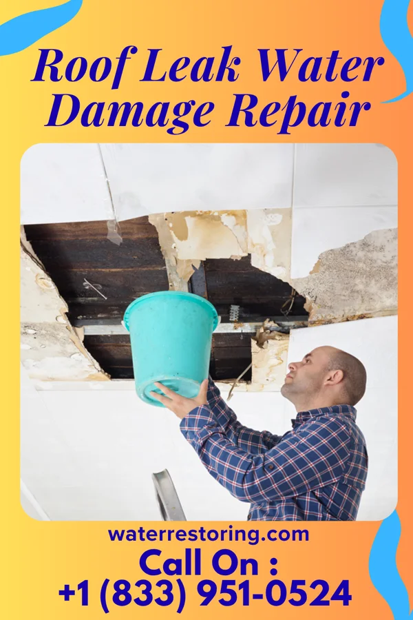 Roof Leak Water Damage Repair in Loganville, GA
