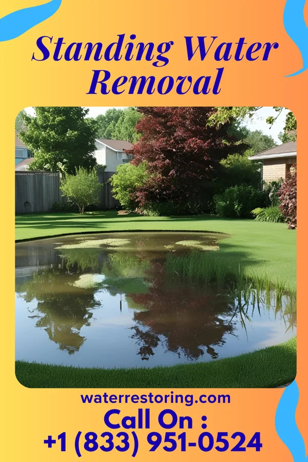 Standing Water Removal in Loganville, GA